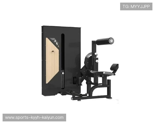 针对背部和腰部锻炼的健身器材推荐